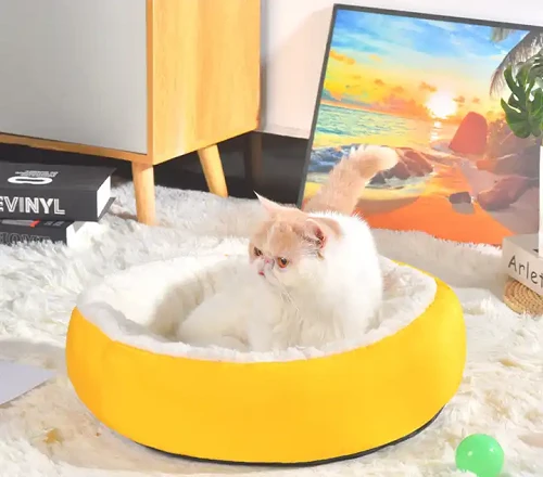 Super Soft Pet Cushion